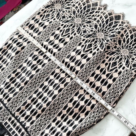 Harlyn Blush & Black Lace Overlay Sheath Cocktail Dress Scallop Hem Size Medium - Picture 12 of 15